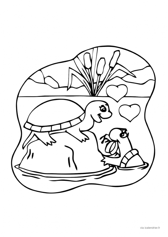 Les tortues se font un cadeau pour leur amour