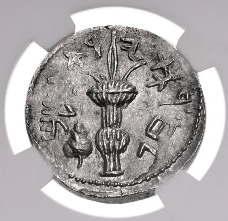 Monnaie frappée en 132-135 pendant la révolte de Bar Kochba avec un bouquet de lulav et un etrog (cédrat)