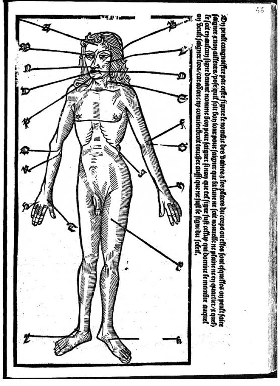 Planche anatomique dans le kalendrier de 1508