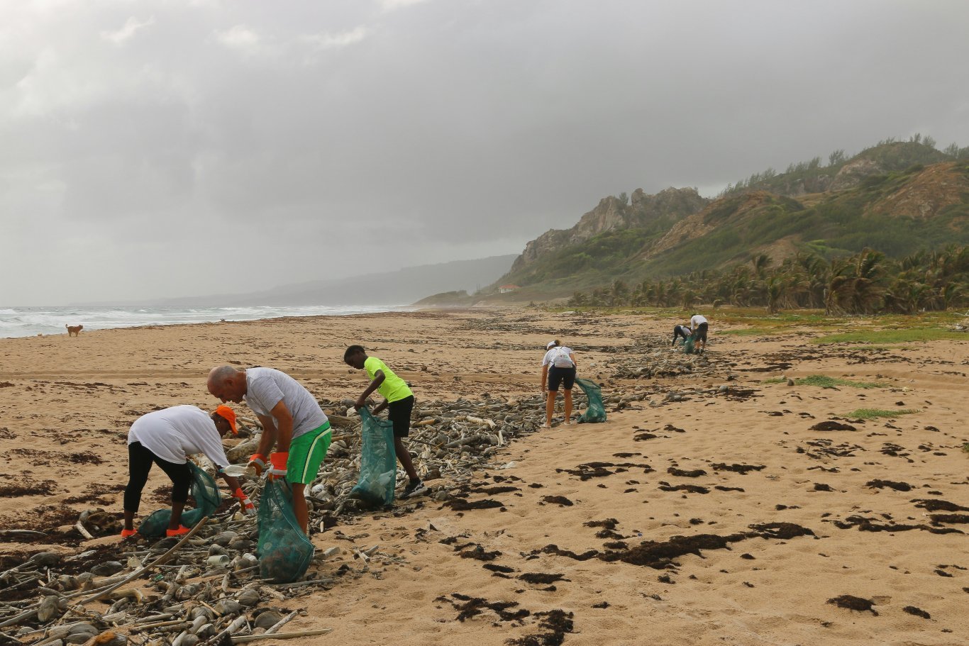 Des volontaires ramassent des ordures sur une plage des Barbades.