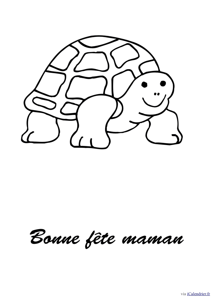 Coloriage d'une tortue