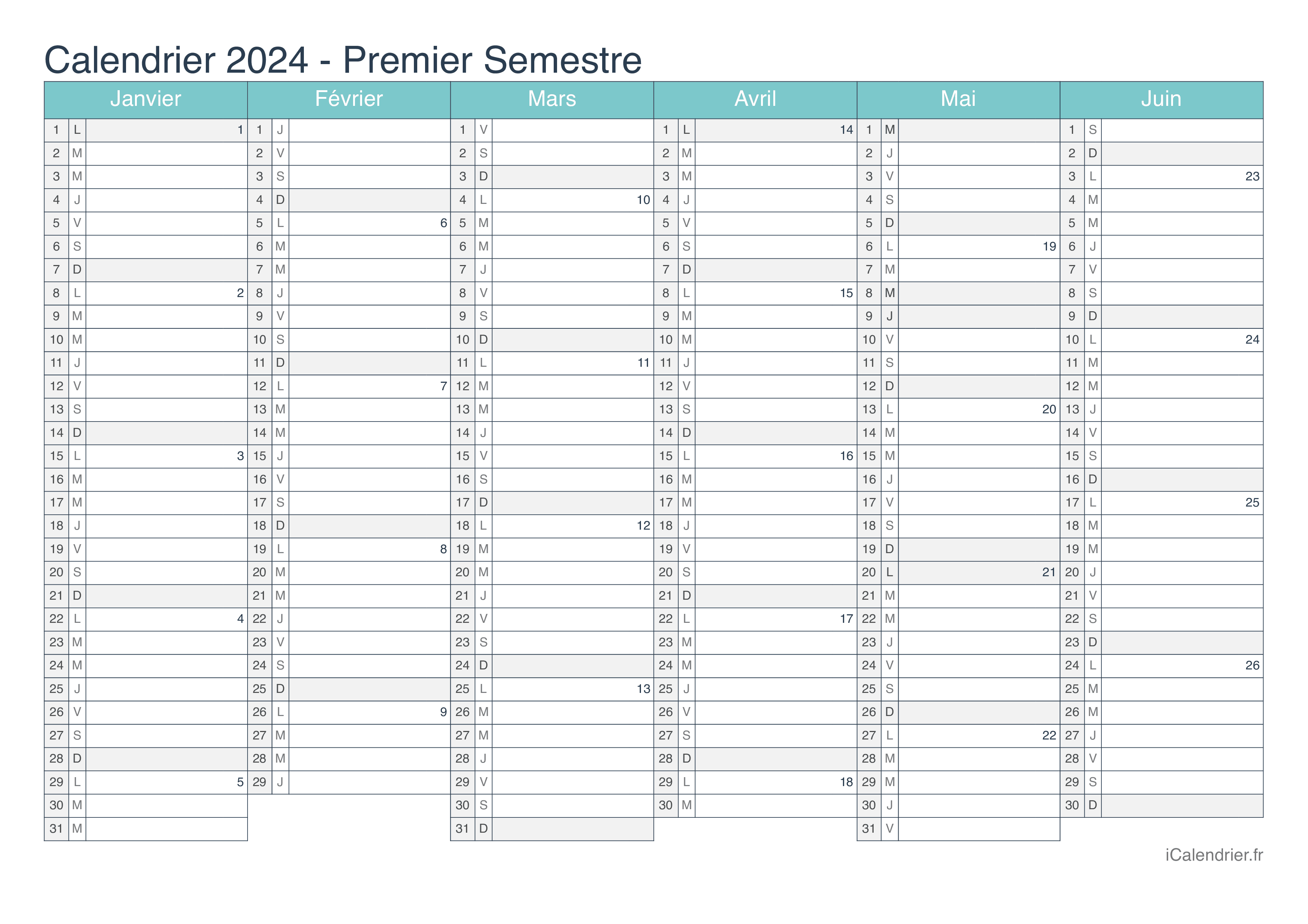 Calendrier par semestre avec numéros des semaines 2024 - Turquoise