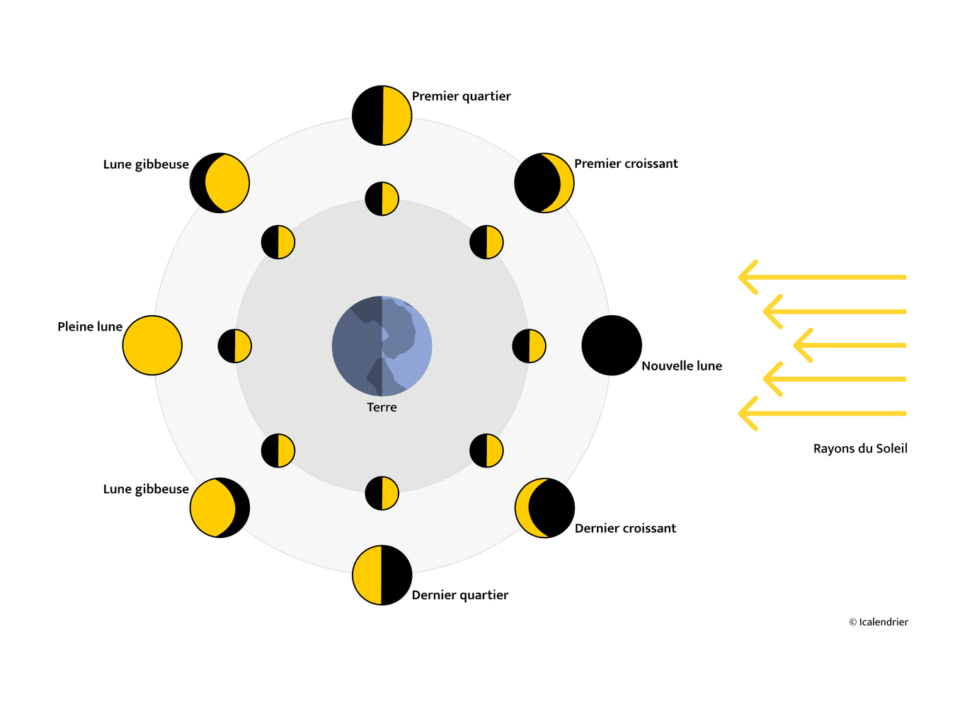 Révolution lunaire et phases lunaires.