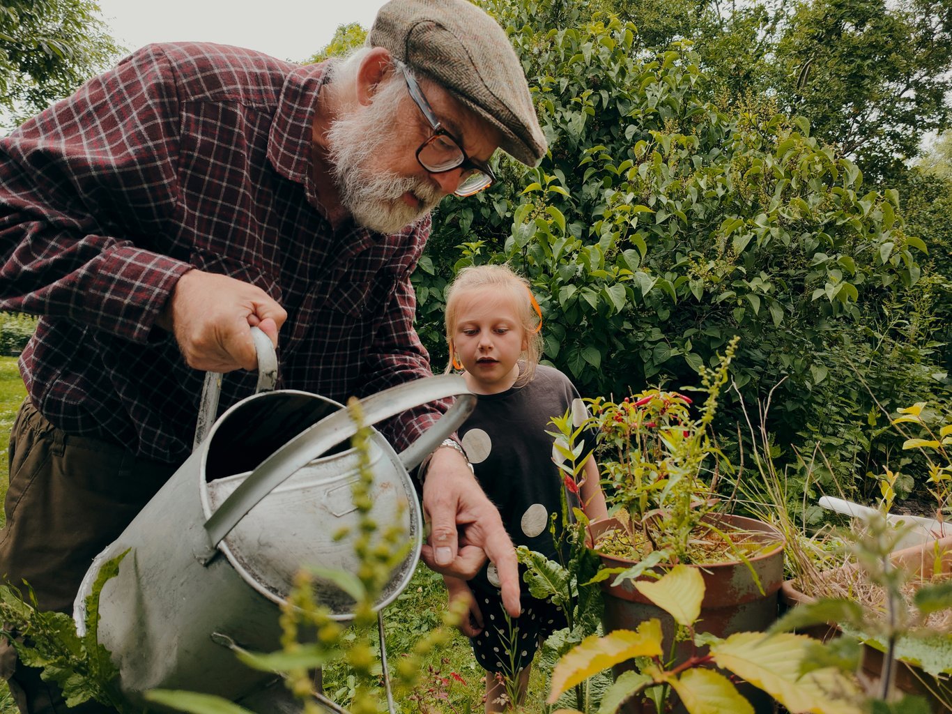 Un grand-père et sa petite-fille en train de jardiner.