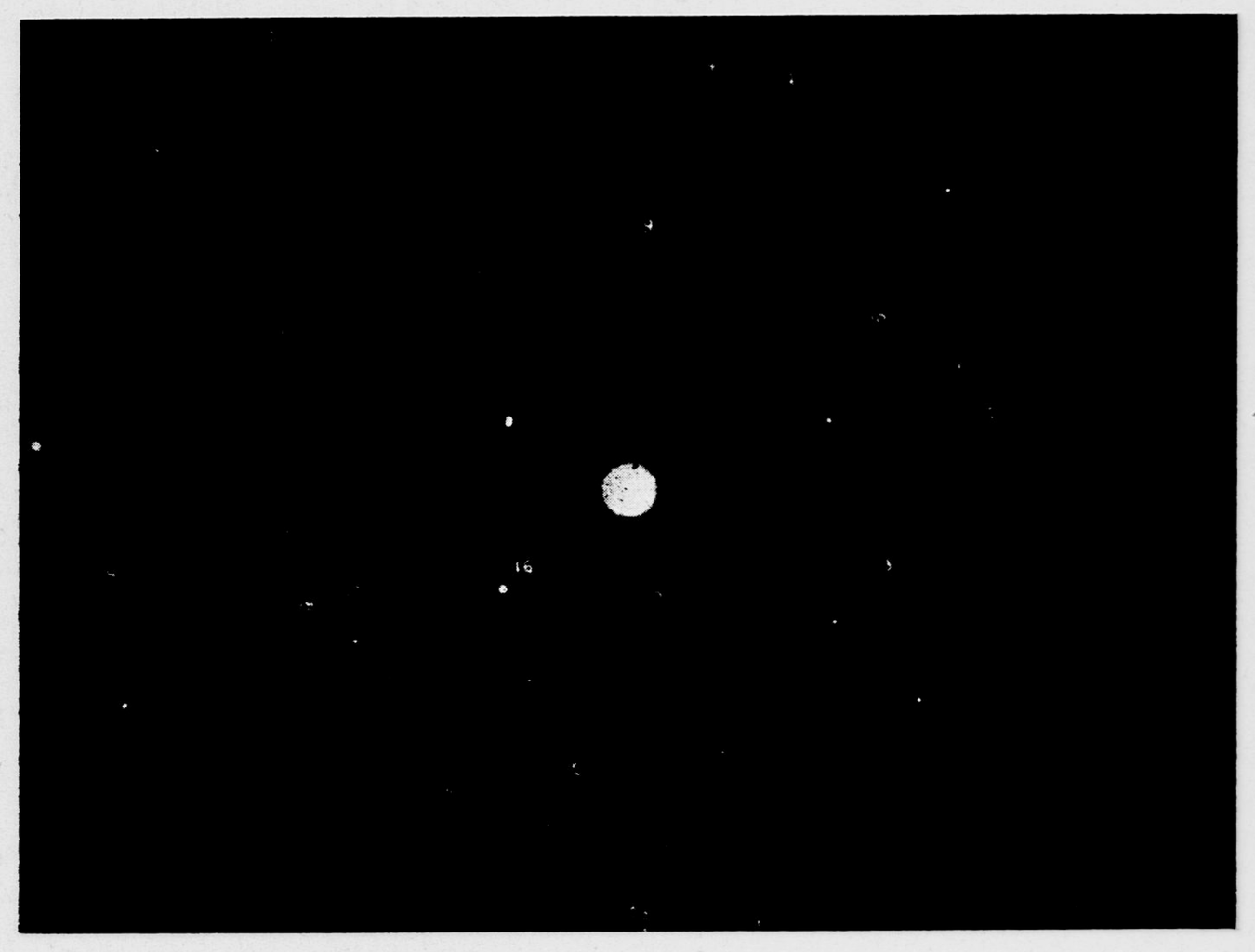 Photographie des météores du 9 octobre 1933 (au centre, l'étoile Vega). Photographie F. Quénisset (Observatoire de Juvisy). Image tirée d'un contretype du cliché original, sur lequel les traînées ont été renforcées pour être mieux visibles.