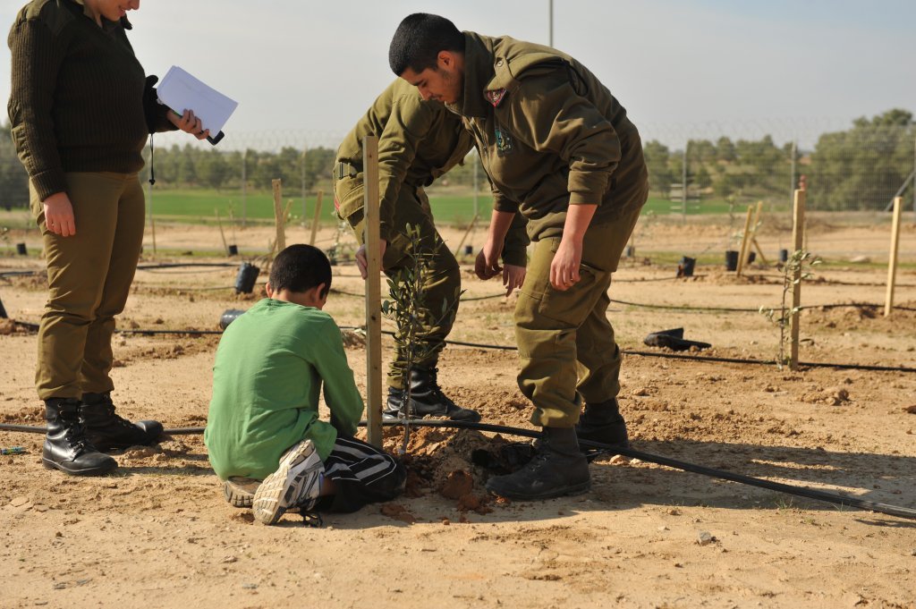 Plantation d'arbres par l'armée israélienne en bordure de Gaza, janvier 2014 <br />