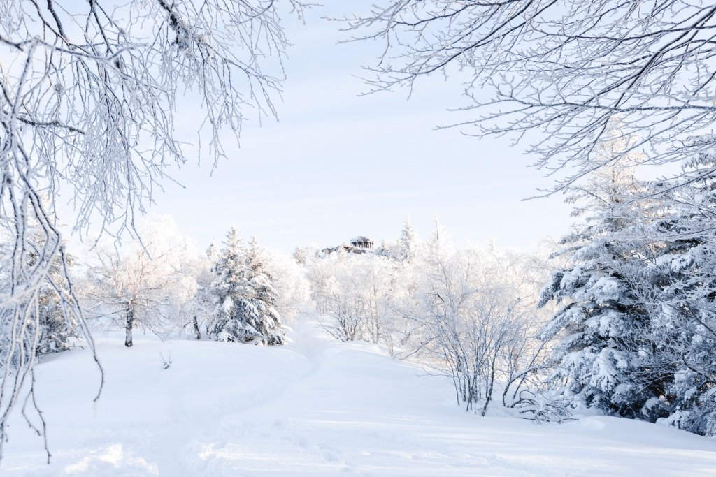 Le froid de l'hiver dans la neige, ici le sommet  du Donon, dans les Vosges, où se trouve un temple