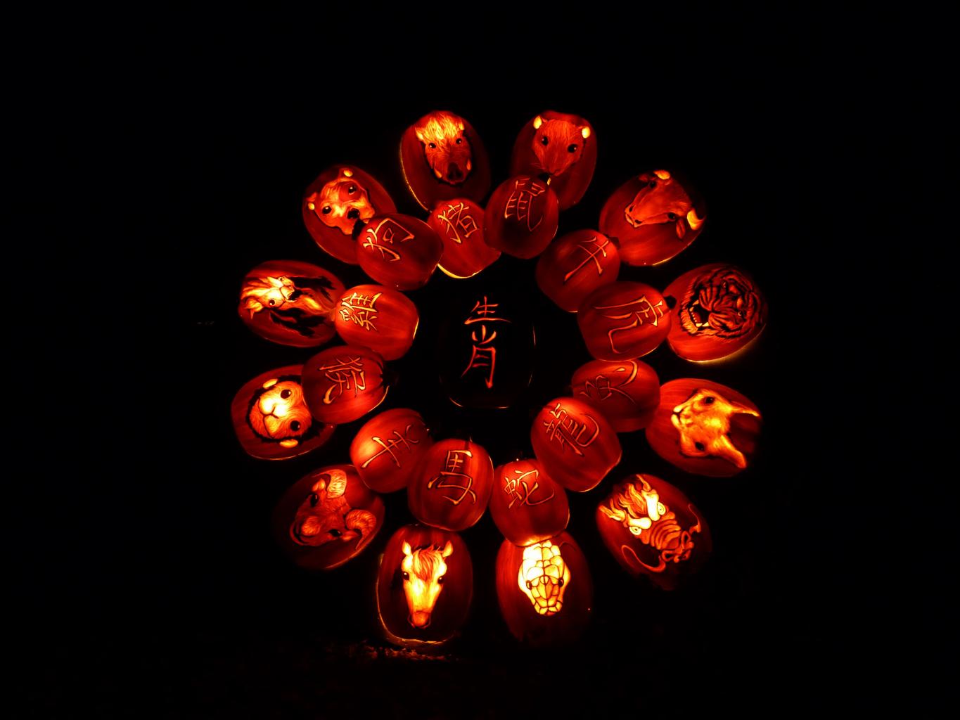 Les 12 signes astrologiques chinois.