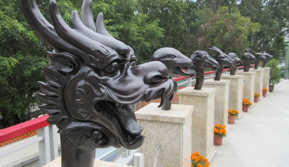 L'astrologie chinoise se décompose en 12 signes, qui sont tous des animaux.
