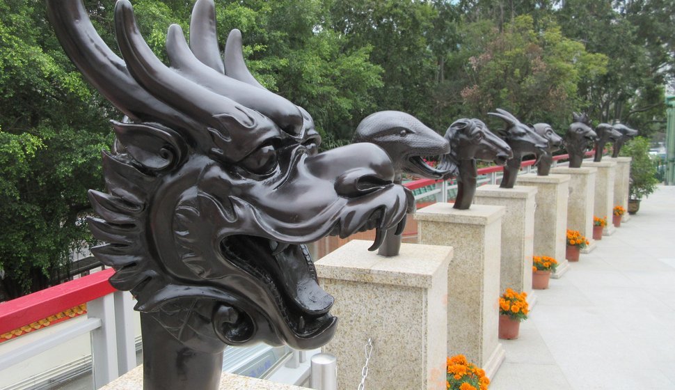 L'astrologie chinoise se décompose en 12 signes, qui sont tous des animaux.