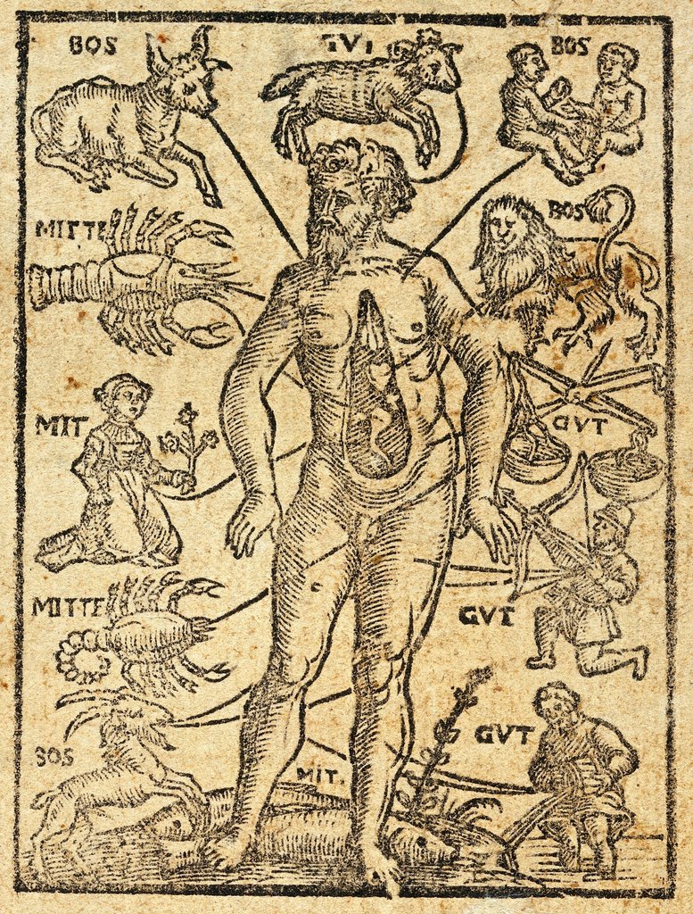 L'homme zodiacal de Petrus Slovacius (1581). Selon la mélothésie zodiacale, chaque partie du corps est associé à un signe astrologique ou une planète spécifique.
