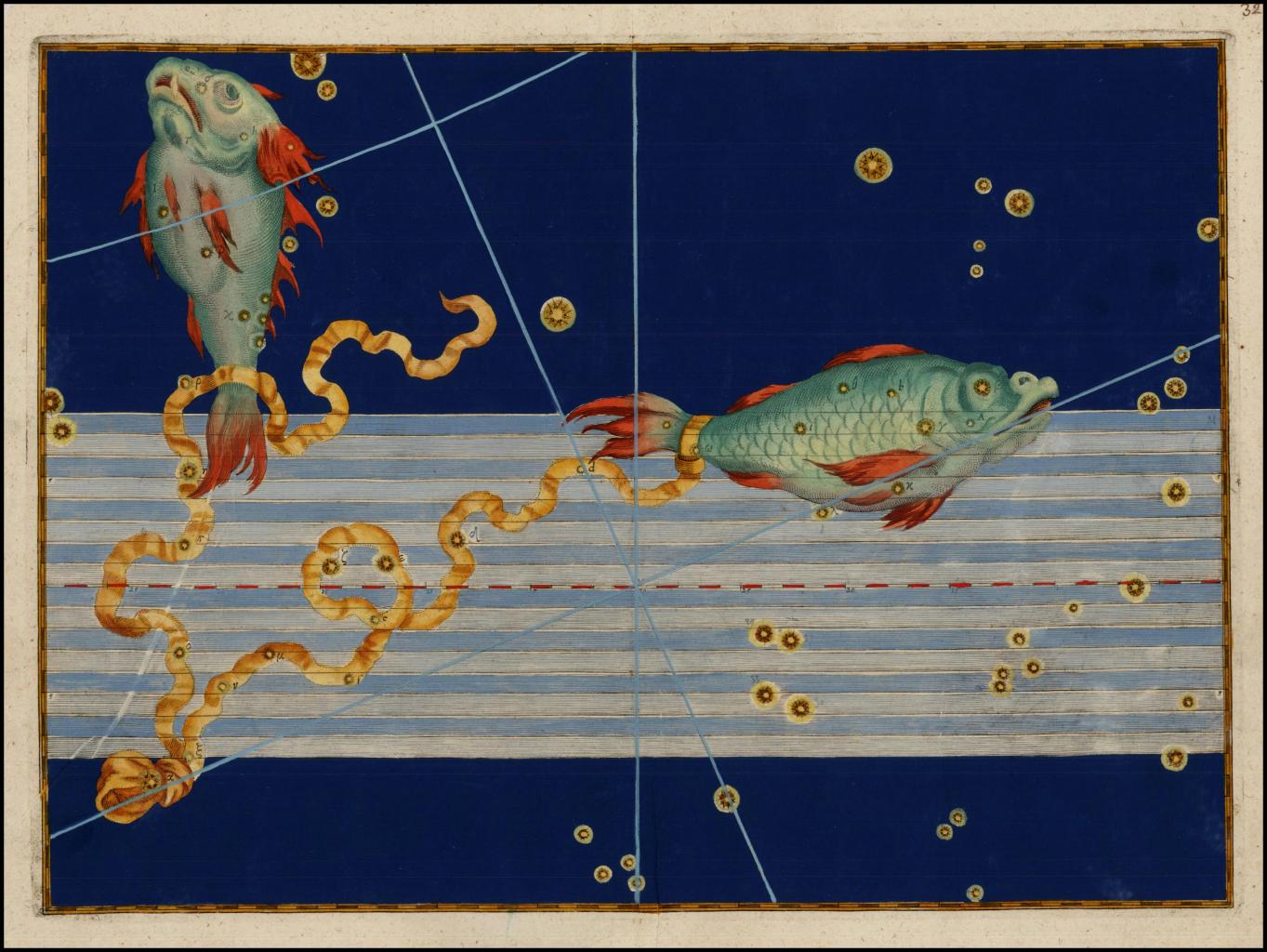 Le signe du Poissons par Johann Bayer.