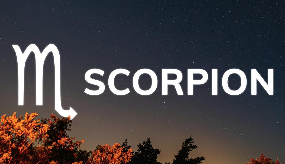 Le Scorpion s'étend du 23 octobre au 22 novembre.