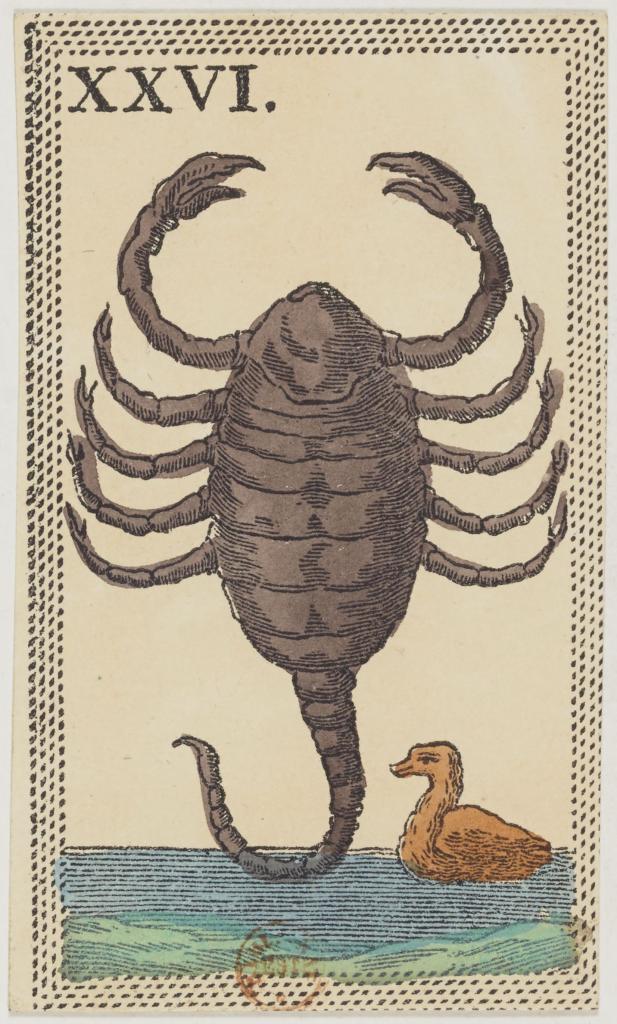 Le signe du Scorpion dans un jeu de cartes florentin (minchiate) du XIXe siècle.