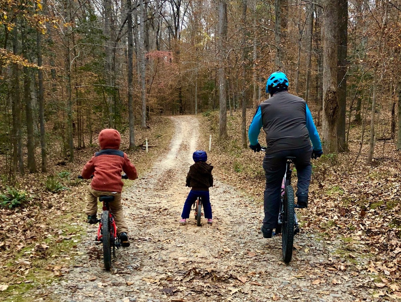 Promenade en forêt en famille.