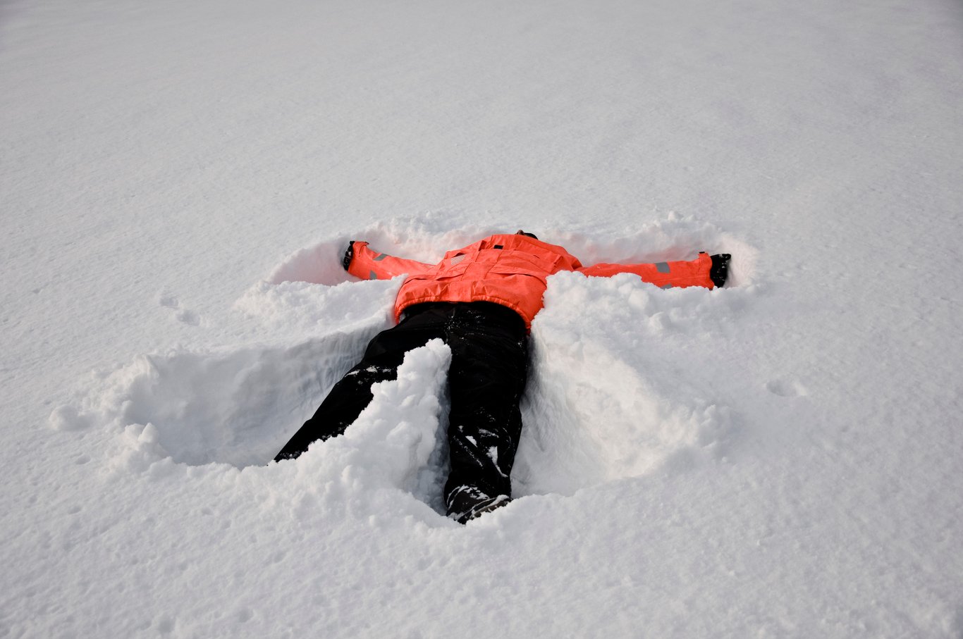 Étoile des neiges…